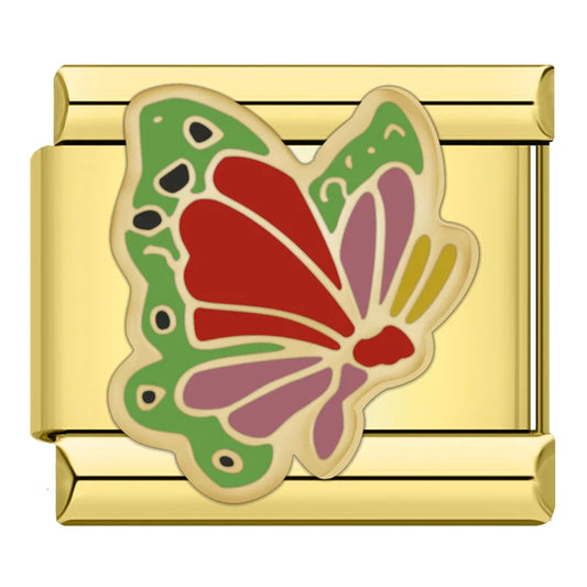 Colorful Butterfly